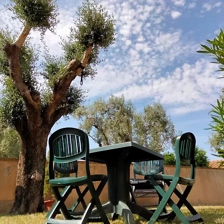 Appartement Solerio 4 *